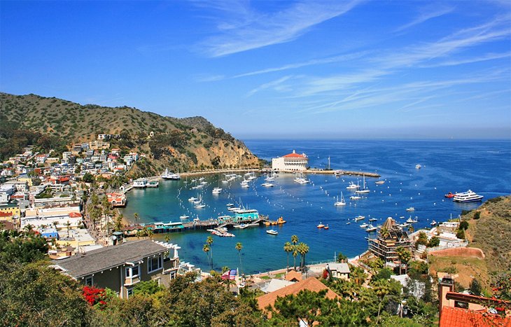 Catalina Island