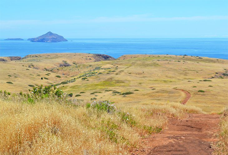 Santa Cruz Island, Channel Islands National Park