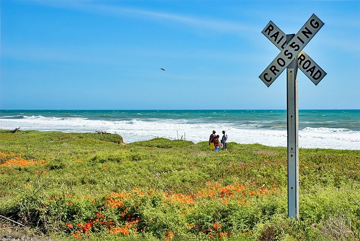 Railroad crossing at Emma Wood State Beach