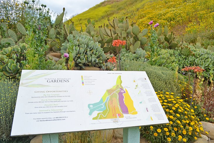 Ventura Botanical Gardens