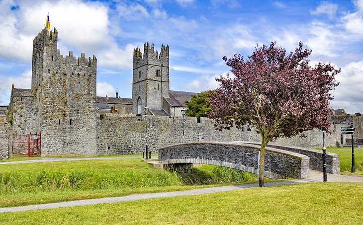 Medieval town walls in the village of Fethard