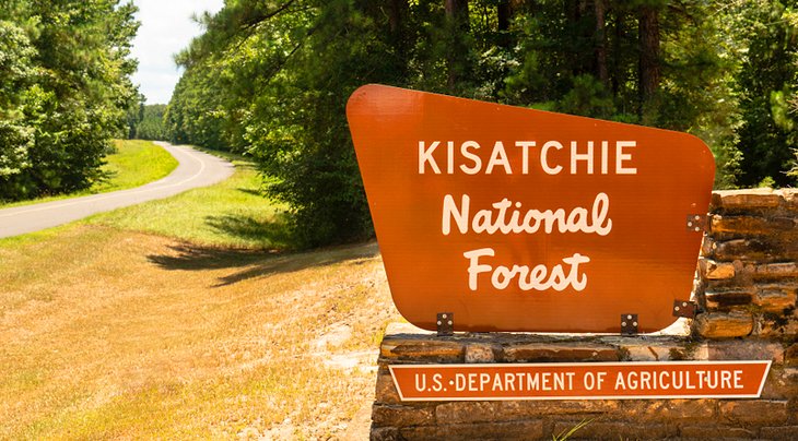 Forêt nationale de Kisatchie