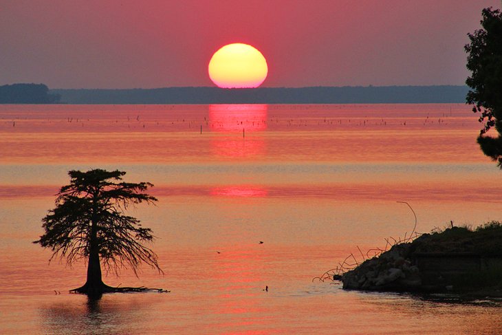Cyprès solitaire au coucher du soleil sur le réservoir de Toledo Bend