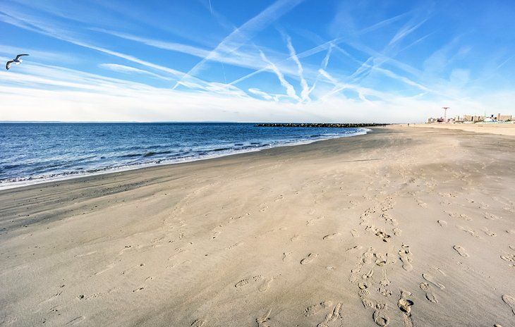 Brighton Beach