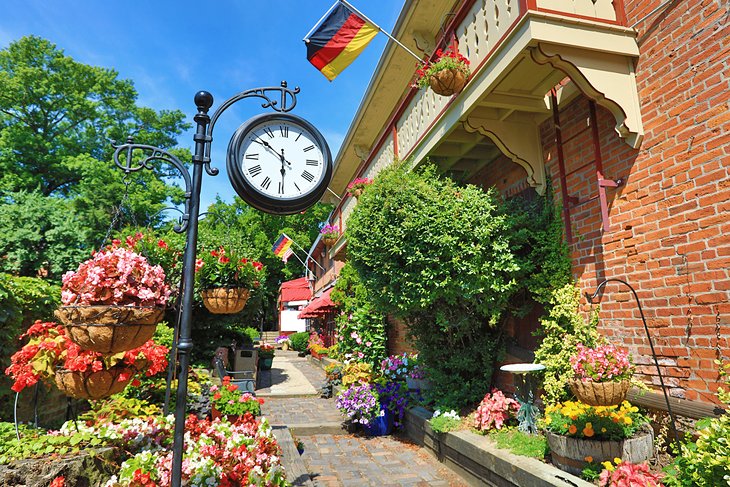 Fleurs colorées dans le village allemand