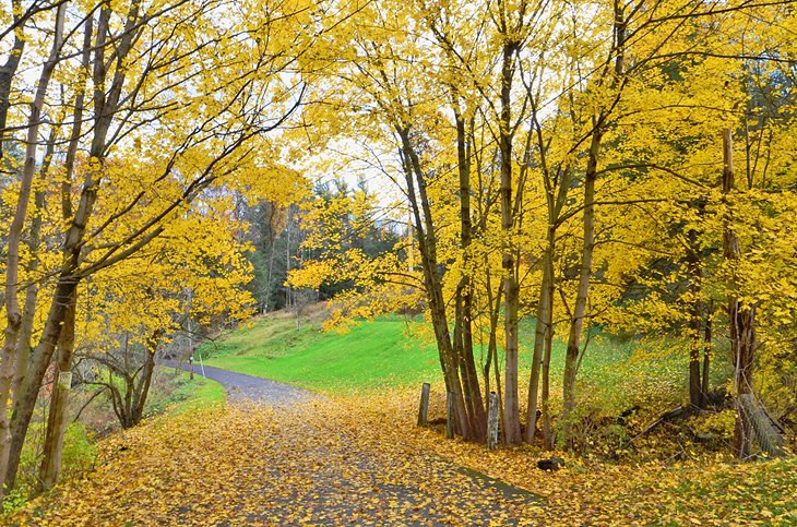 Fall colors in Johnstown