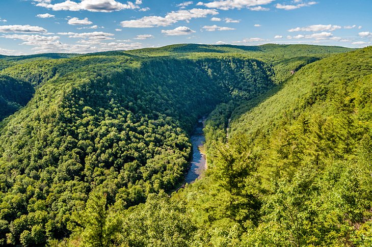 Pine Creek Gorge