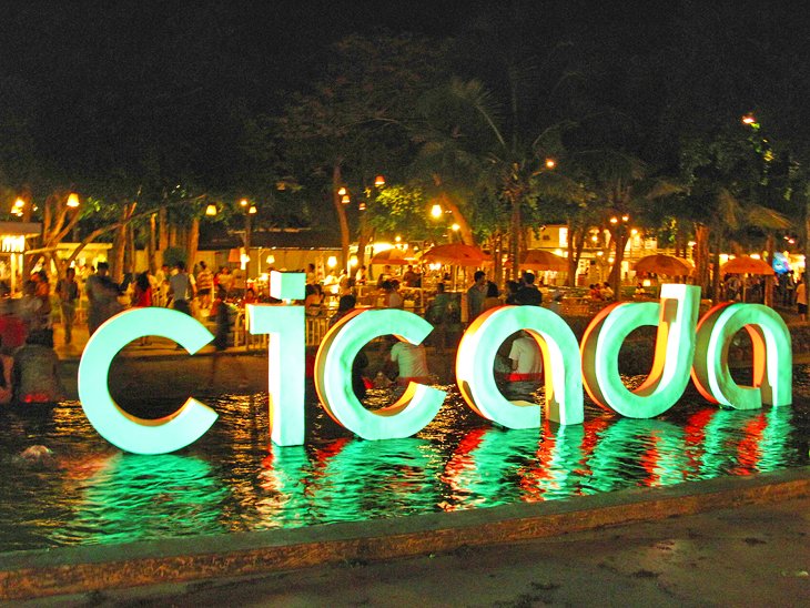 Cicada Market at night