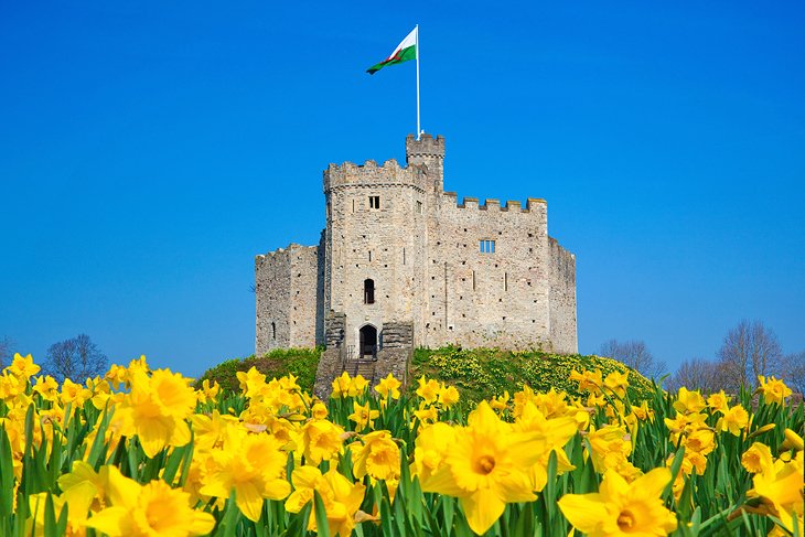 Cardiff Castle  Day Out With The Kids