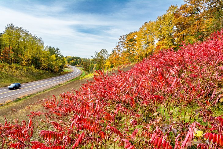 Route serpentant à travers les couleurs d'automne de la campagne de Hayward