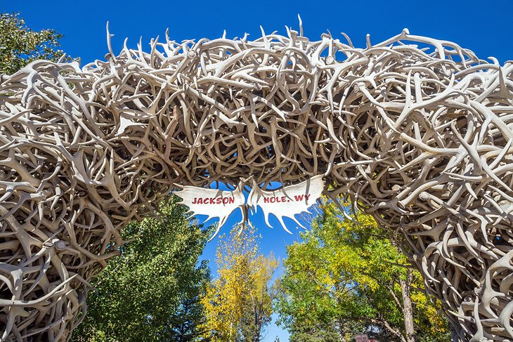 Antler Arch, Jackson