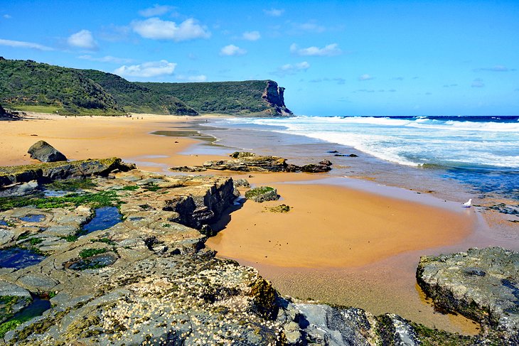 Garie Beach in Royal National Park