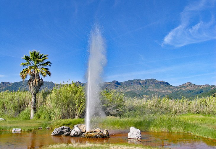 Little Old Faithful geyser in Calistoga