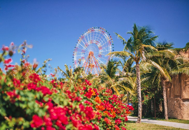 Ferris wheel in Anaheim