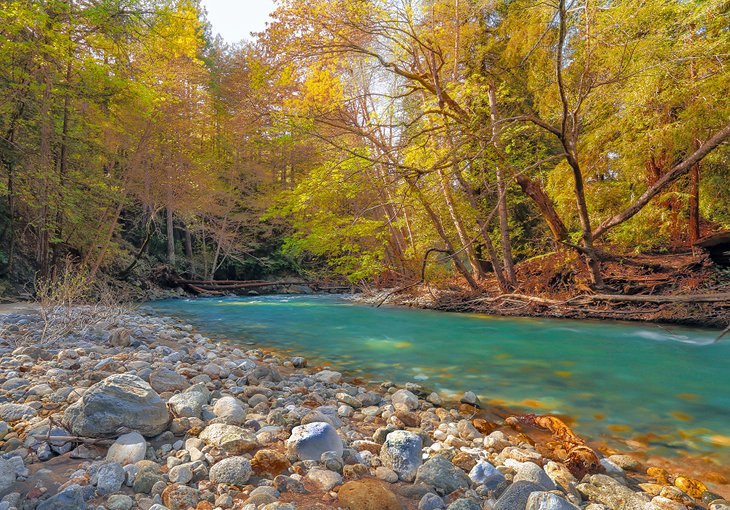 Big Sur River in the fall