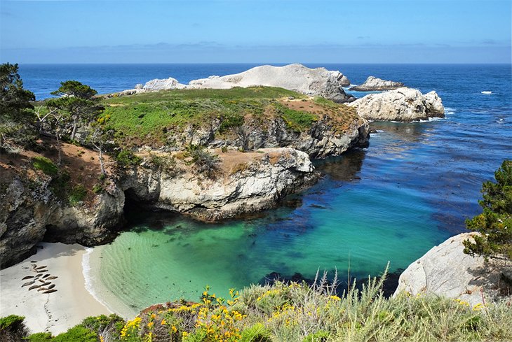 China Cove, Point Lobos State Natural Reserve