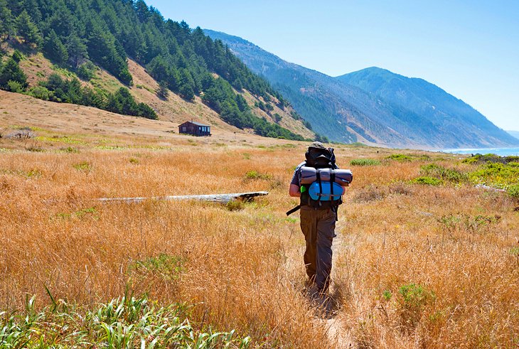 Hiking the Lost Coast Trail