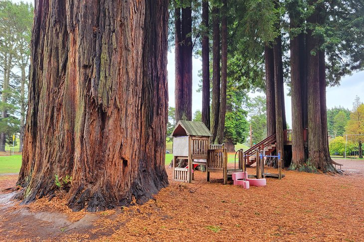 Wishing well in Sequoia Park Forest & Garden