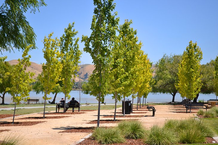 Central Park and Lake Elizabeth