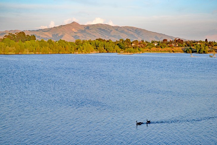 Quarry Lakes Regional Recreation Area