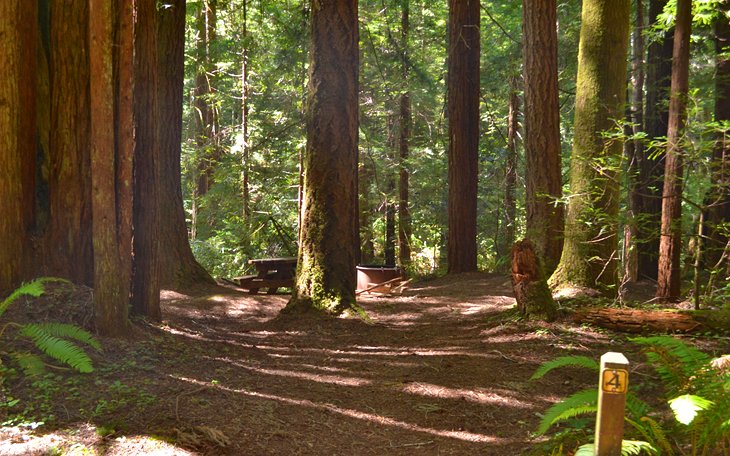 Highland Meadows Campground, Van Damme State Park