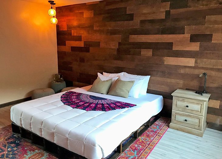 12 PetFriendly Hotels in Palm Springs, CA