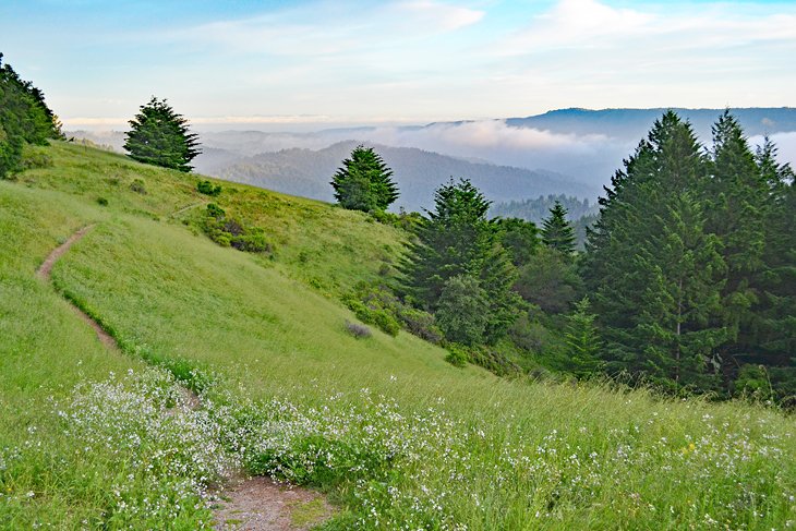 11 campamentos mejor calificados cerca de Santa Cruz, CA