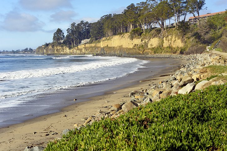 11 campamentos mejor calificados cerca de Santa Cruz, CA