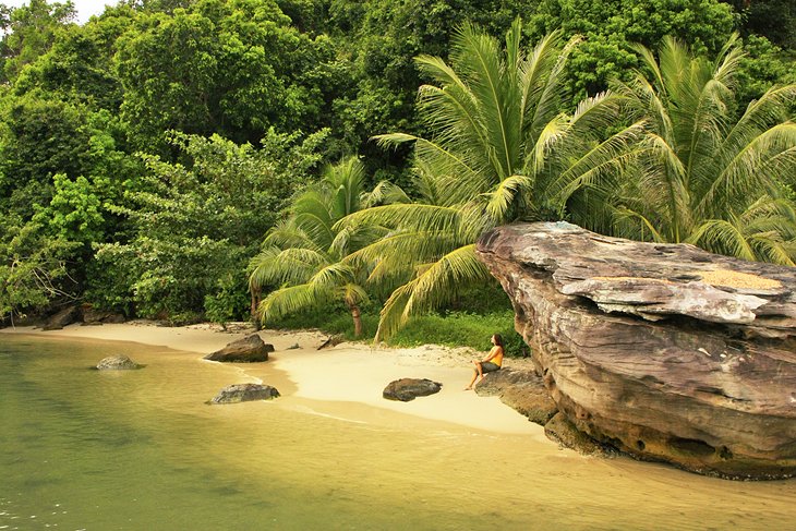 Palm trees on Ream Beach