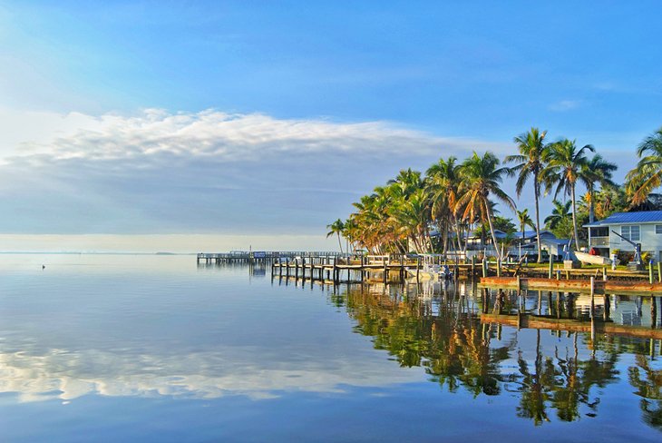 Palm trees, blue sky, and calm waters in Matlacha