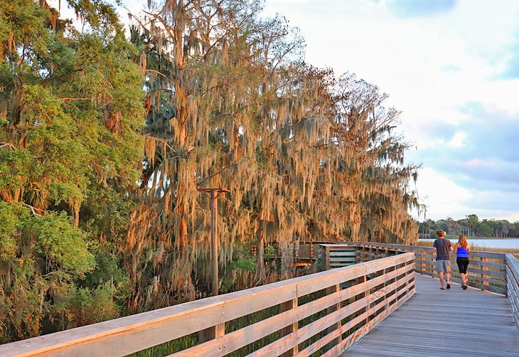 Palm Island Park in Mount Dora