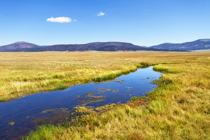 Jemez River near the Santa Ana Pueblo