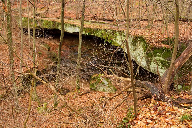 Reserva natural estatal de Rockbridge