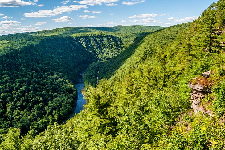 Pine Creek Gorge