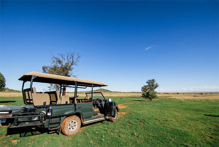 Farm safari at the De Oude Kraal Country Estate & Spa