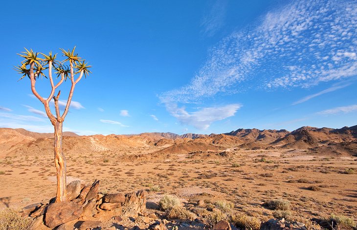 Ai-Ais Richtersveld Transfrontier National Park