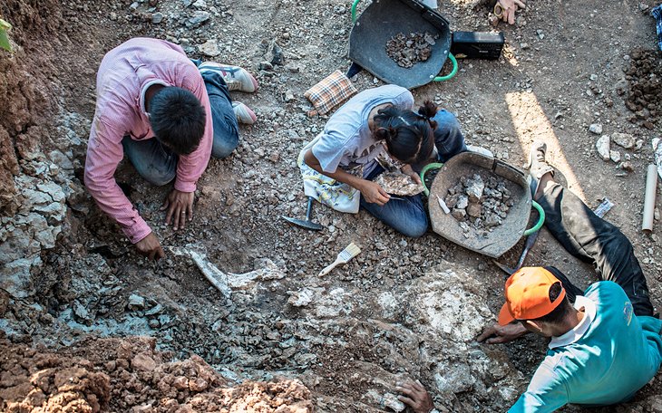 Paleontologists uncovering a dig