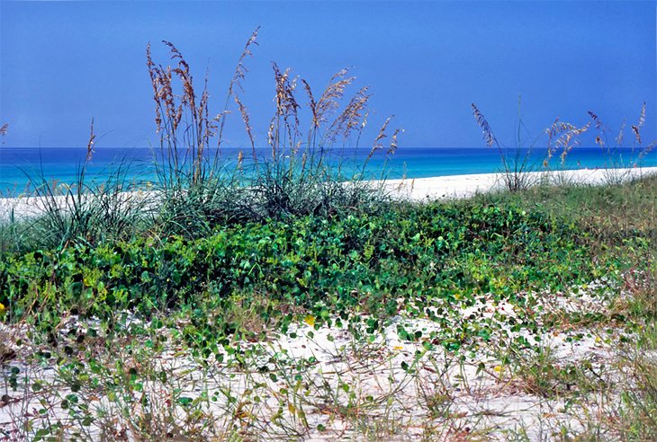 Henderson Beach State Park