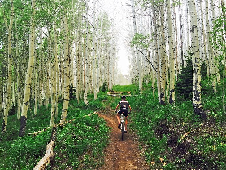 Mountain biking trail in Park City