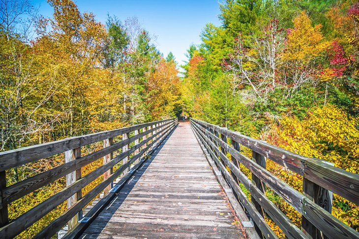Pont à chevalets en bois sur le Virginia Creeper Trail