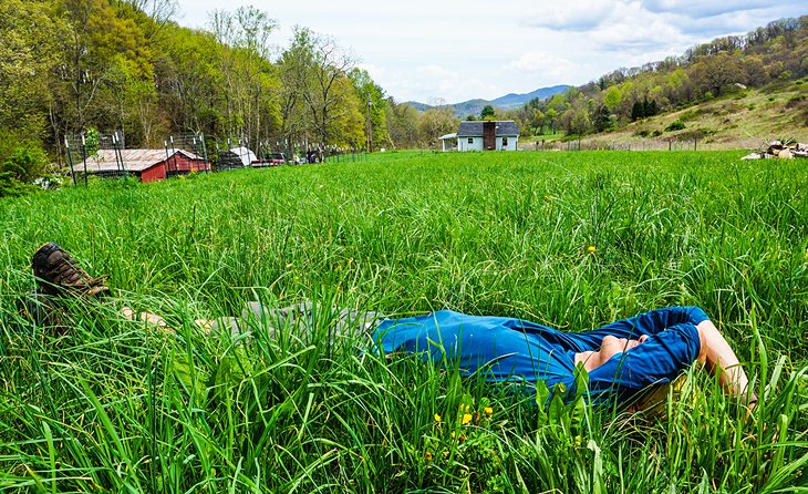 Un randonneur se repose dans l'herbe près de Damas, VA