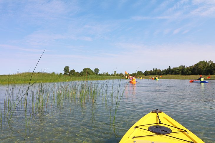 A group of kayakers on the Mink River