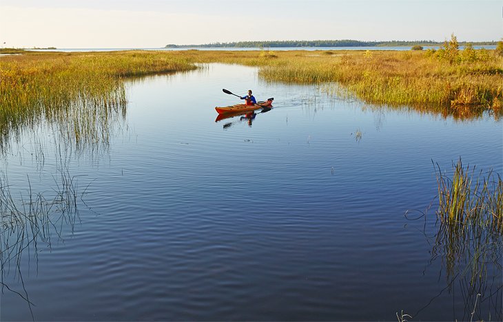 A kayaker paddling through tranquil Rieboldt Creek