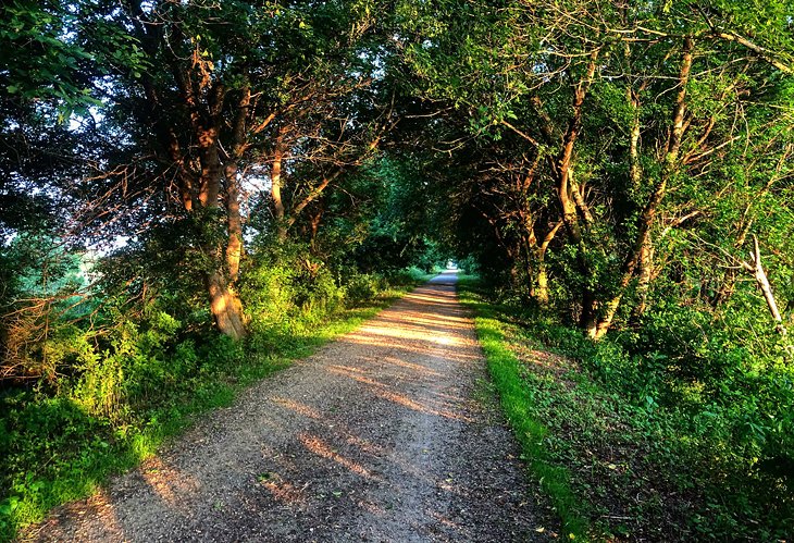 Glacial Drumlin State Trail