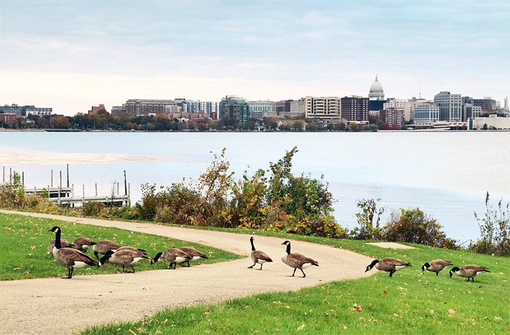 13 rutas de senderismo mejor valoradas cerca de Madison, WI