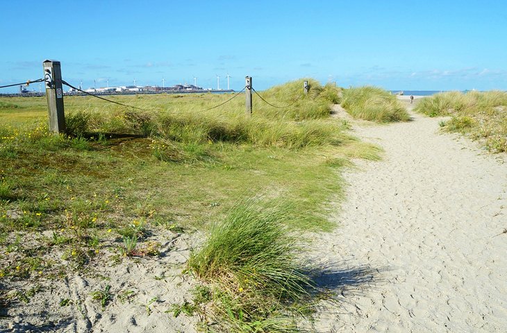 Dunes in Zeebrugge, Belgium