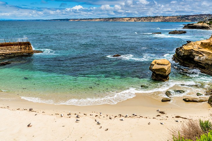 Children's Pool Beach, La Jolla