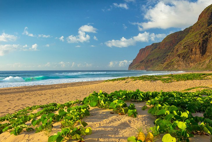 Polihale Beach, Kauai