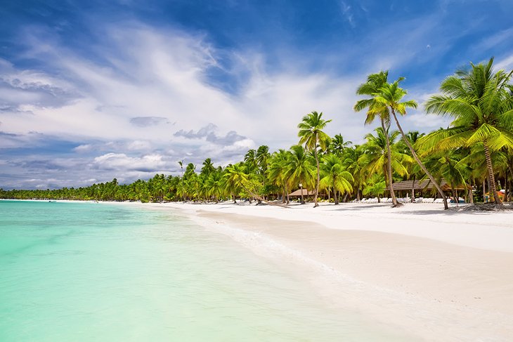 Palm-lined beach in Punta Cana