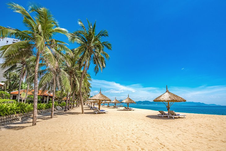 Palm-lined beach at Nha Trang